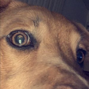 Meet your Posher, Elia